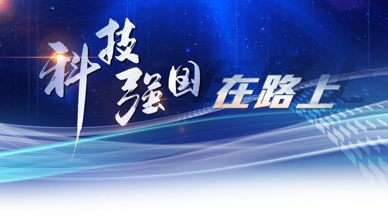 SaaS平台搭建：五大关键点确保稳定高效