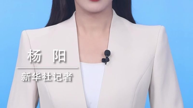 数字化集成方案：解析其优缺点与行业应用